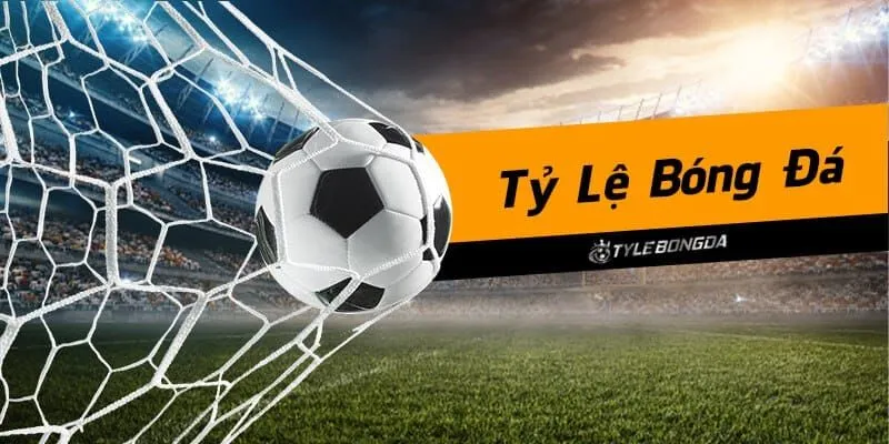 Nowgoal - Điểm đến cập nhật tỷ lệ kèo bóng đá uy tín